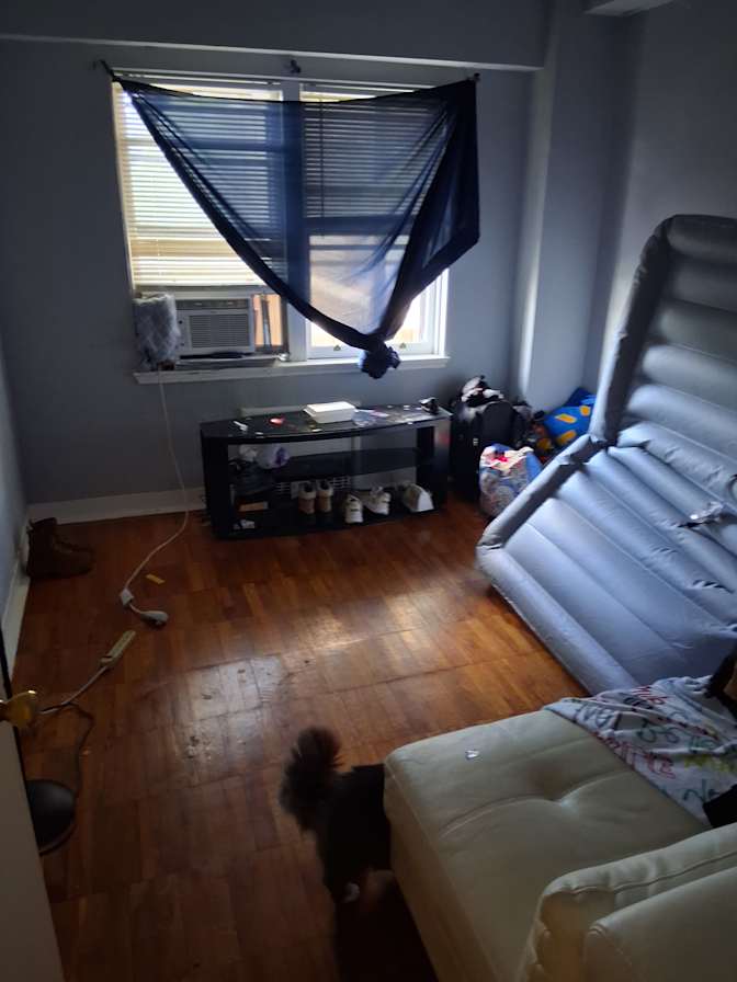 Jana's room