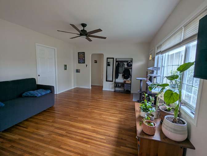 Mariya's room