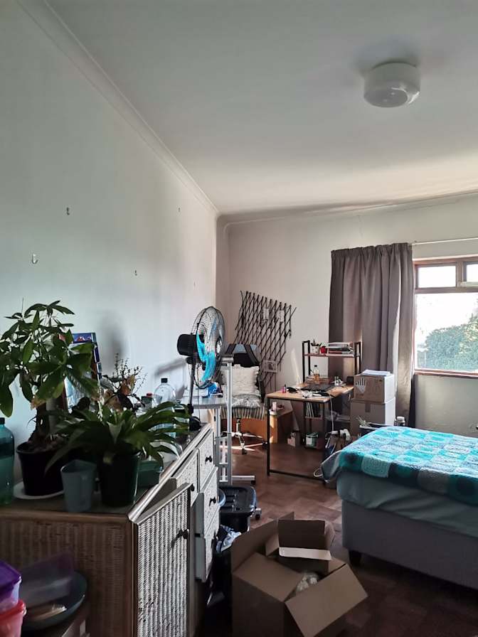 Emelia's room