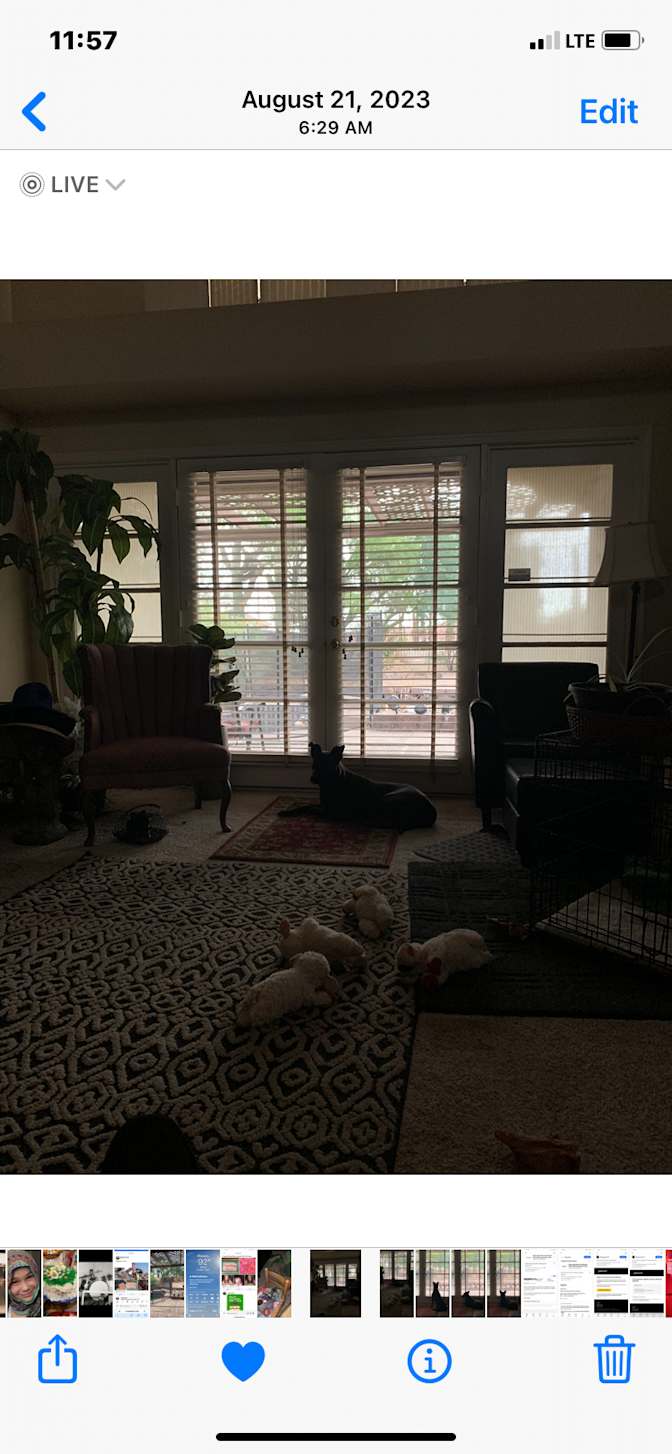 Marie's room
