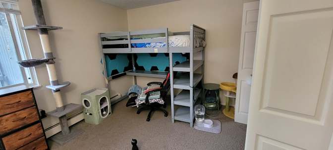 Leon's room
