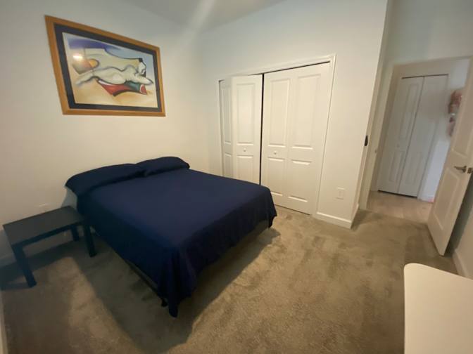 Lake Nona's room