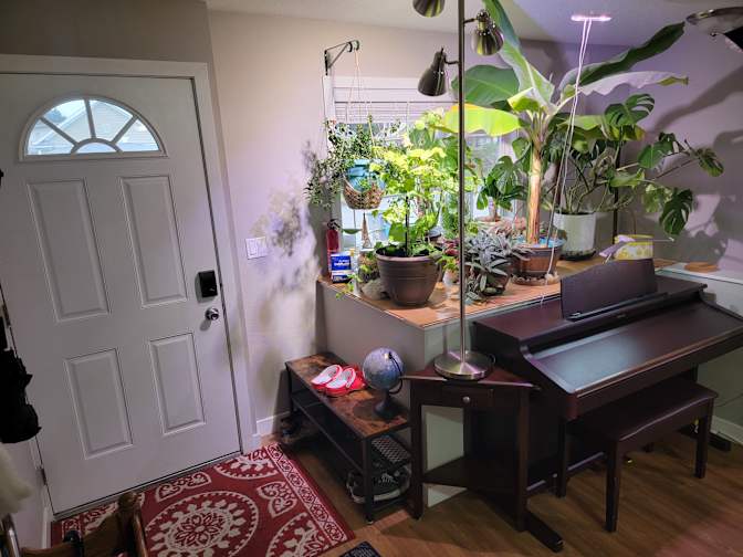 SHAT (pronounced Shot)'s room