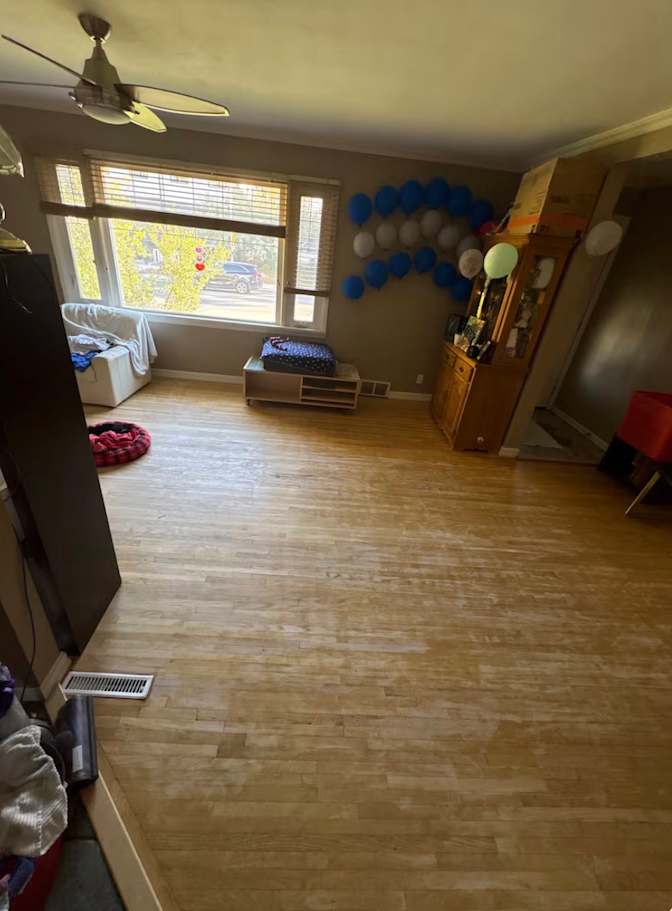 rayne's room