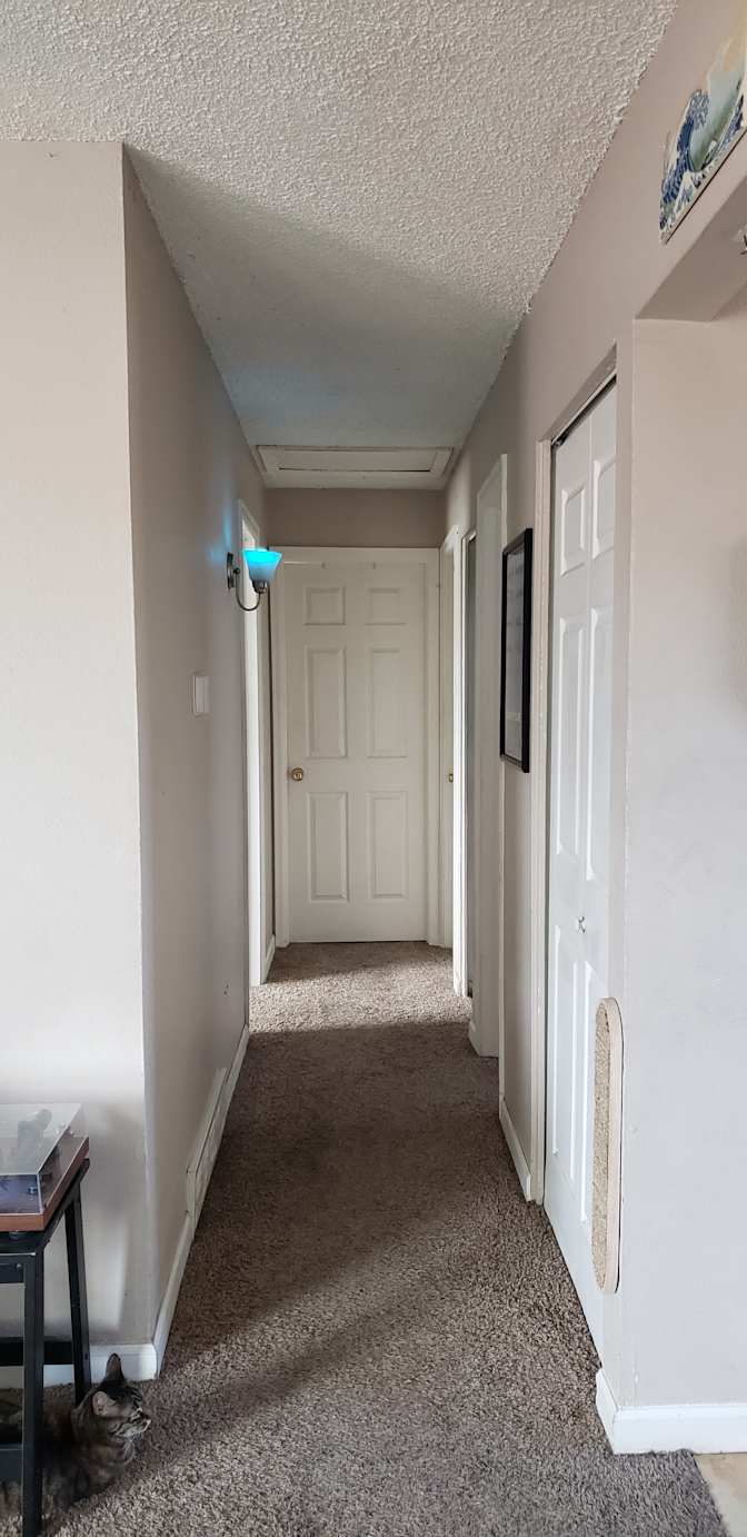 Ren's room