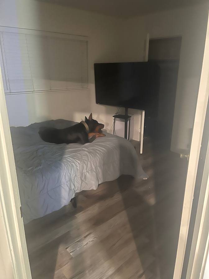 Serge Arbitman's room