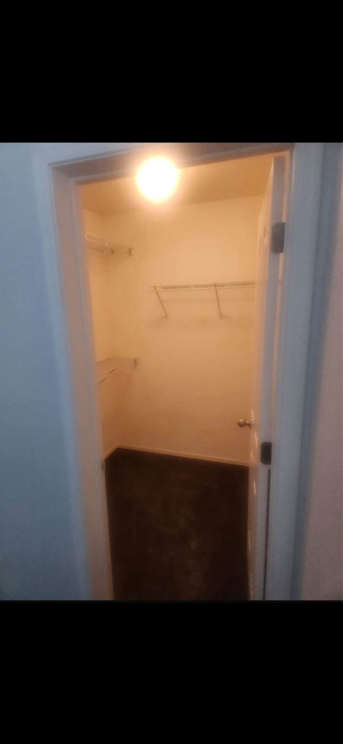 Sophia's room