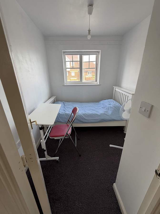 andrew zhao's room