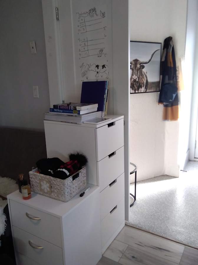 Aaron Zebrafish's room