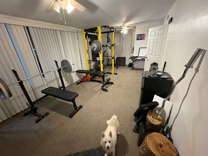 Jeffrey's room