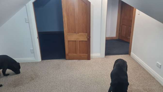 Brendon Wooler's room