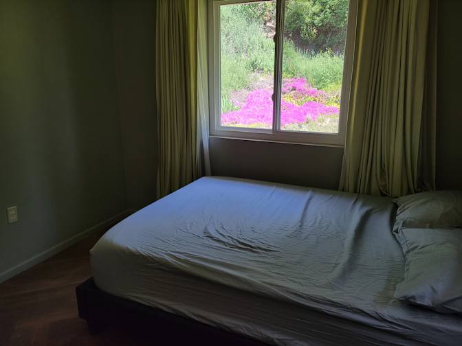 David's room