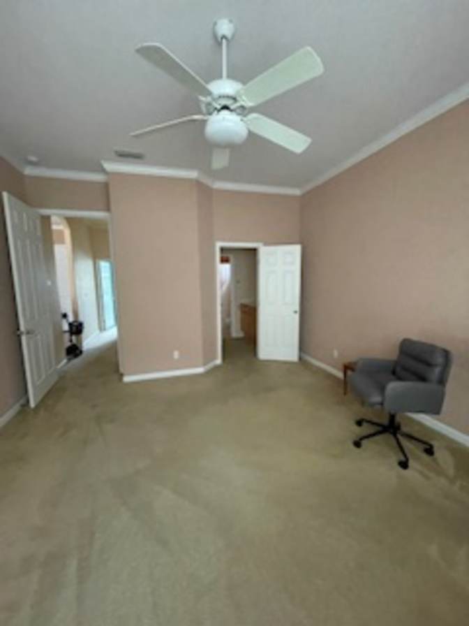 Ann's room