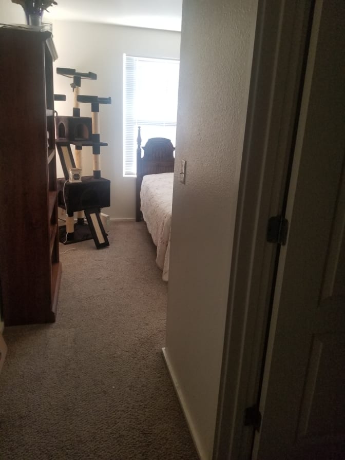 Linda's room