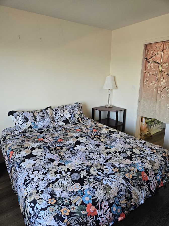 Soy's room