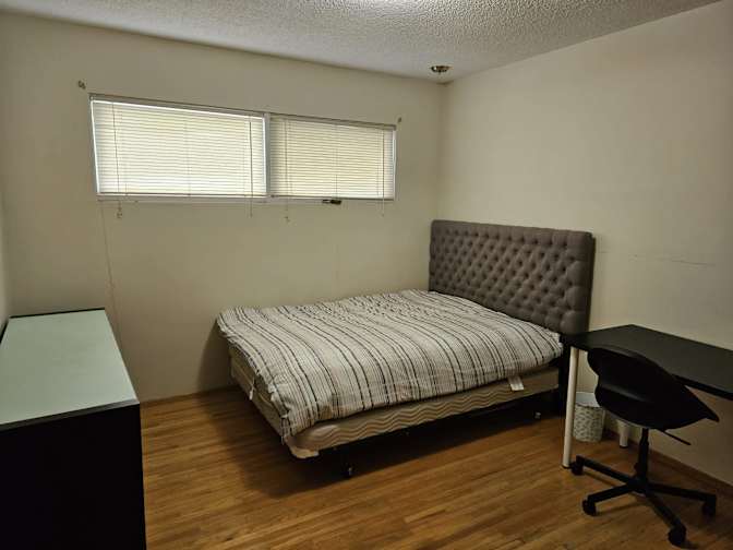 Dave's room