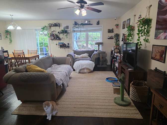 Amber Steffey's room
