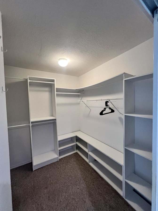 Rizing Phoenix Management's room