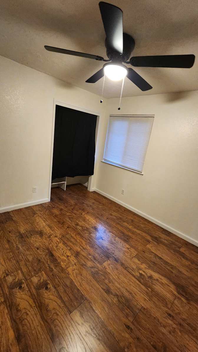 Dillard's room