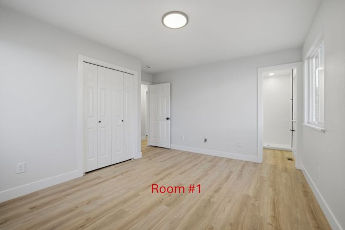 Ayesha's room