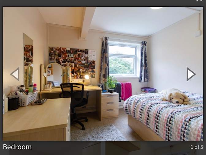 Elizabeth's room