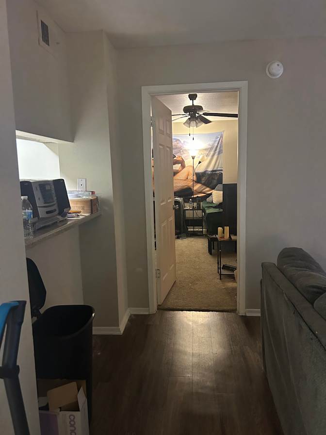 M's room