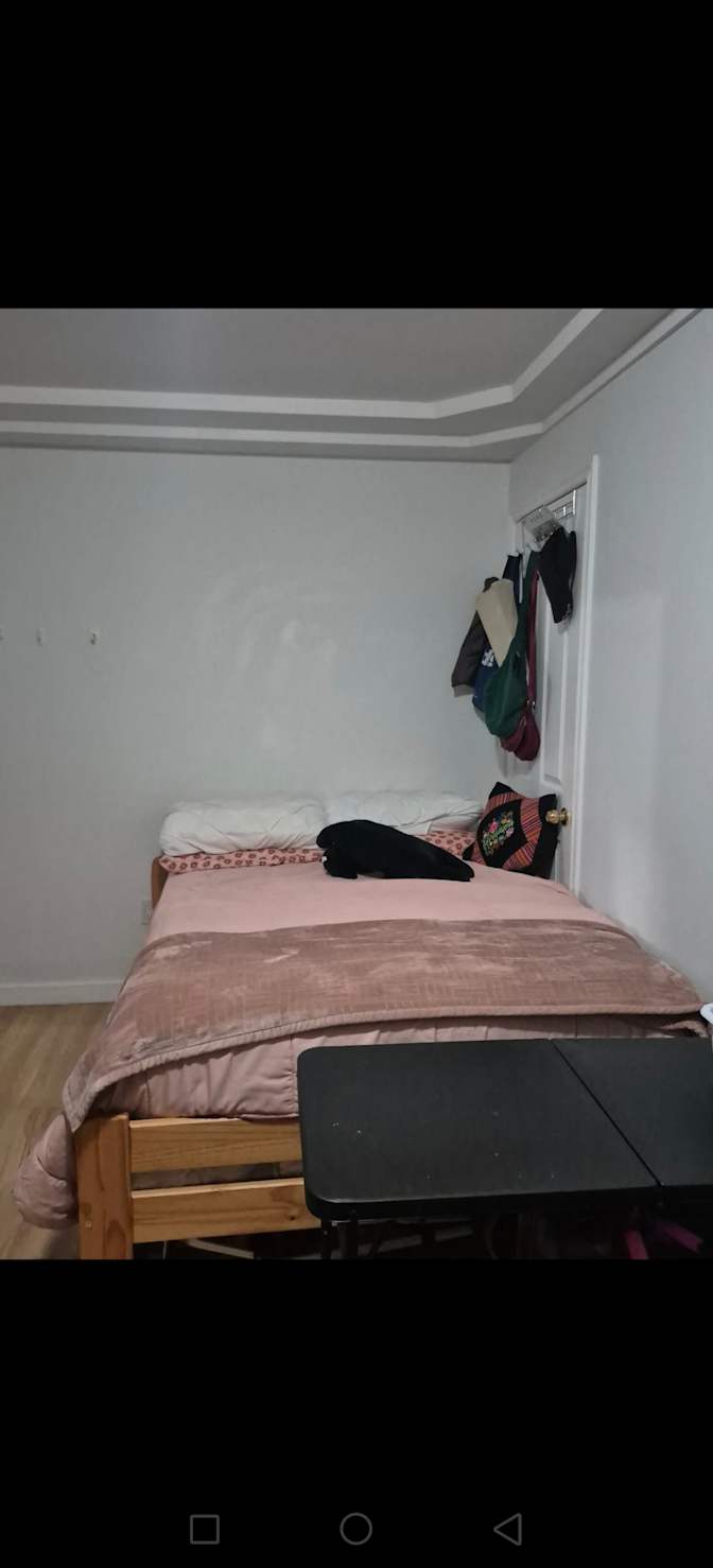 Mandy Luo's room