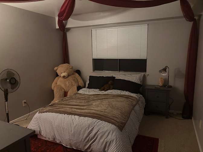 Sophie love's room