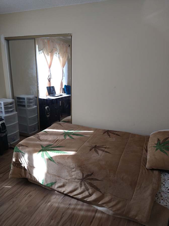 Michael's room