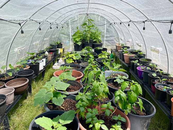 Caitlin Lepla's room