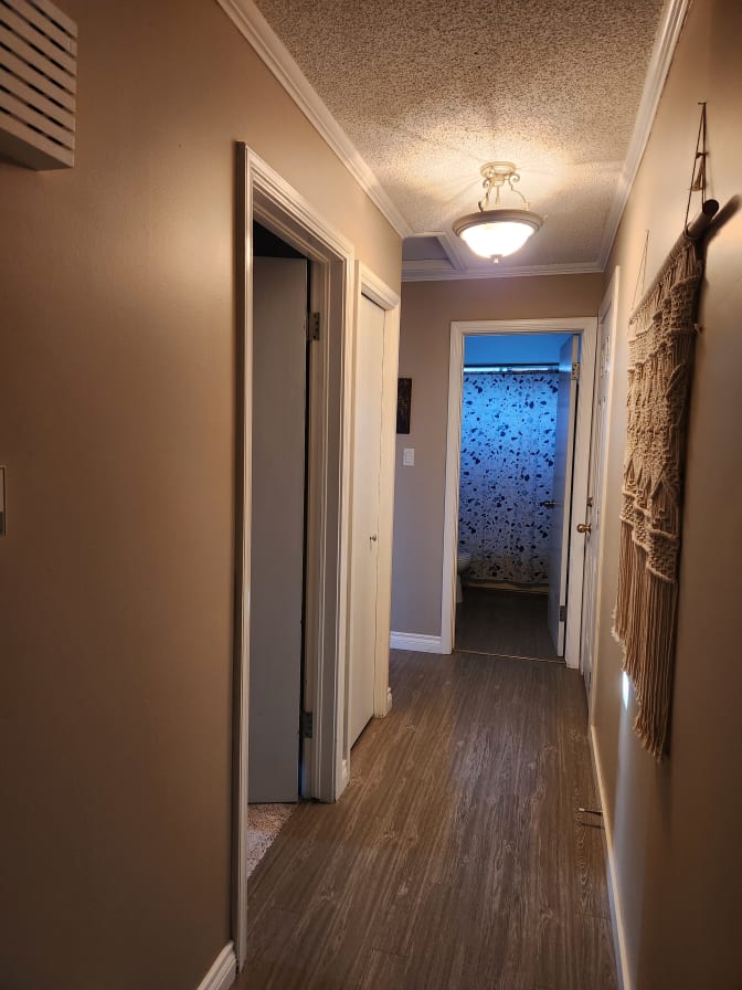 Kelsey Beck's room