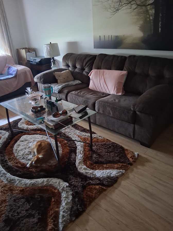 Mary's room