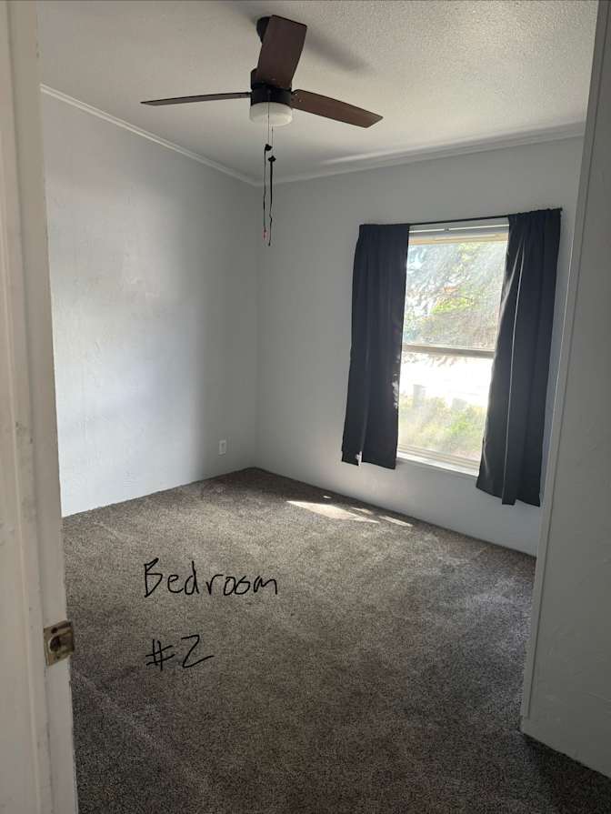 Hayden's room