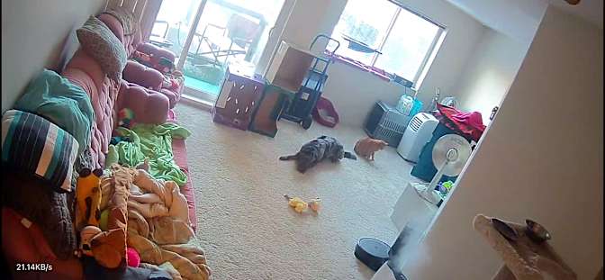 Paula's room