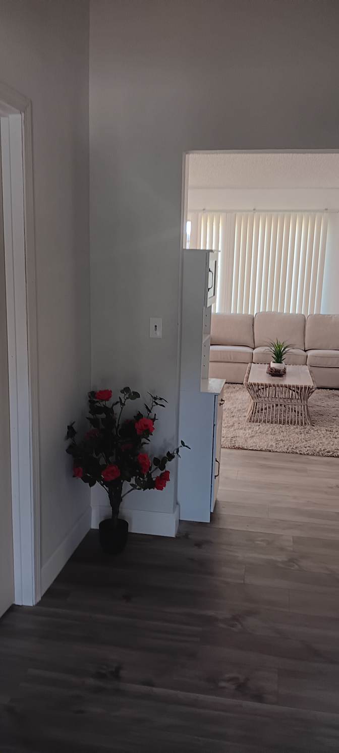 David Harman's room