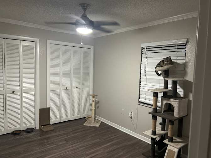 Cheyleen Anez martinez's room