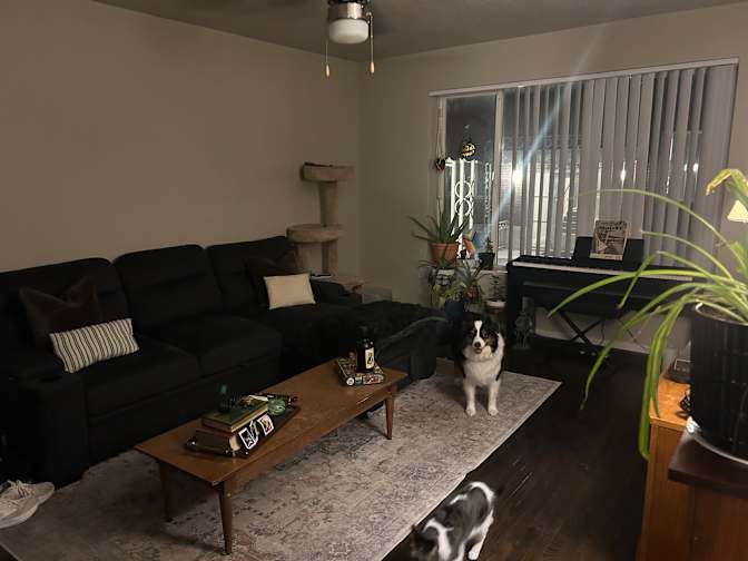 Gus's room