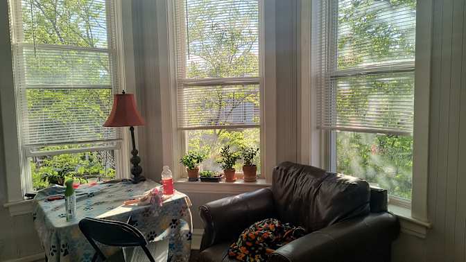 Caitlin E Ferris's room