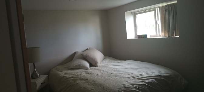 Heather MacDonald's room