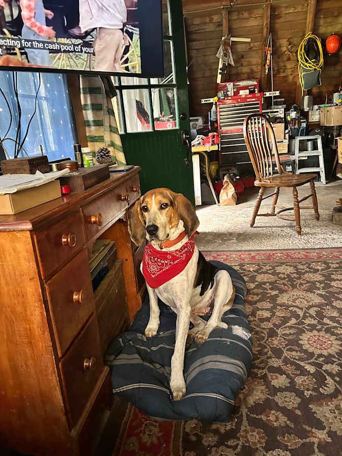 Bailey's room