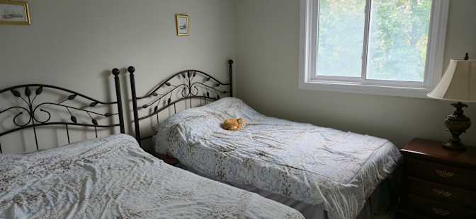 Will's room