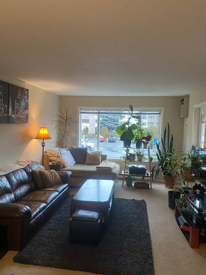 Neil's room