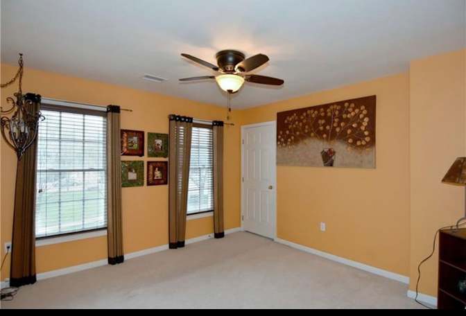 Tabby's room