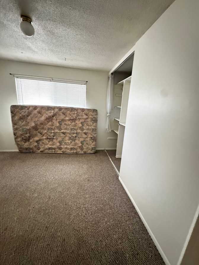 Martin's room