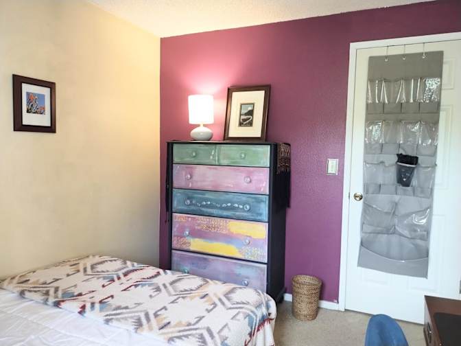 Mary's room