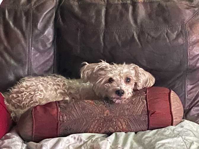 Mark's room