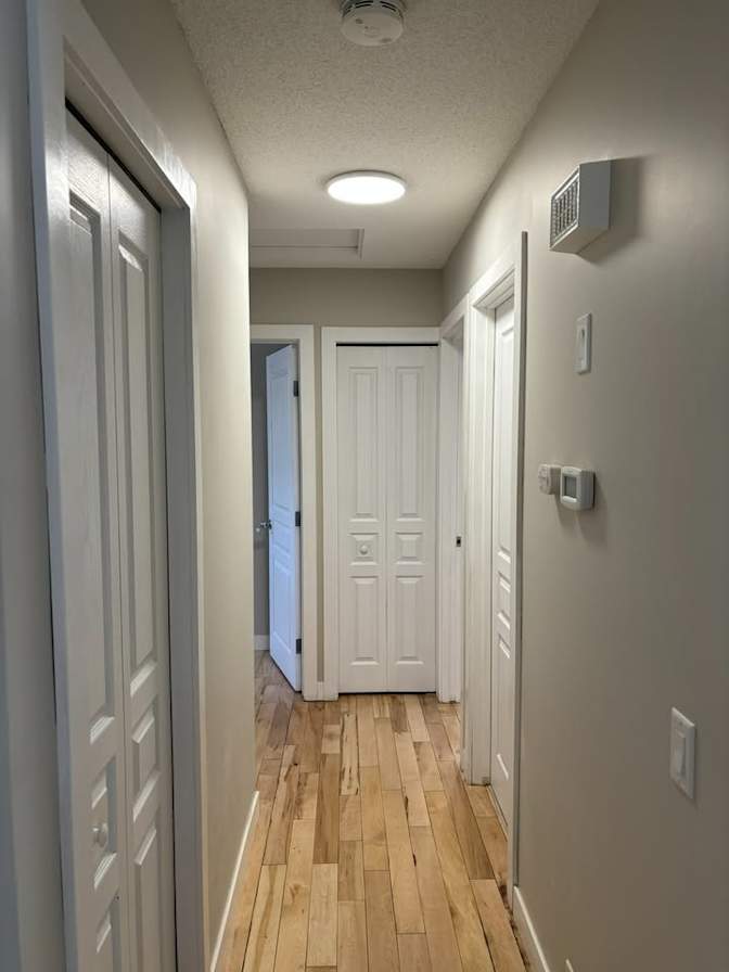 Todd's room