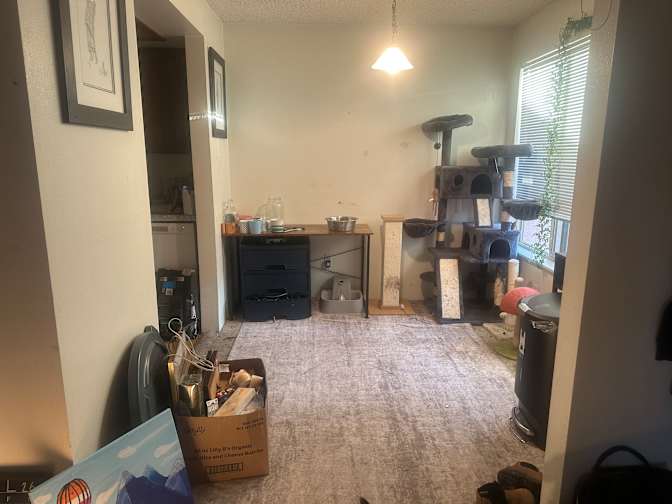 Selah Bennett's room