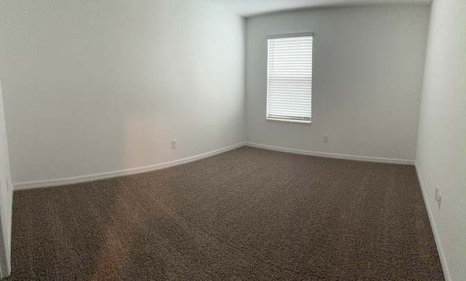 Zina's room