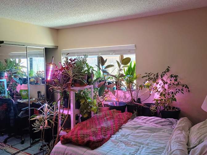 Joao's room